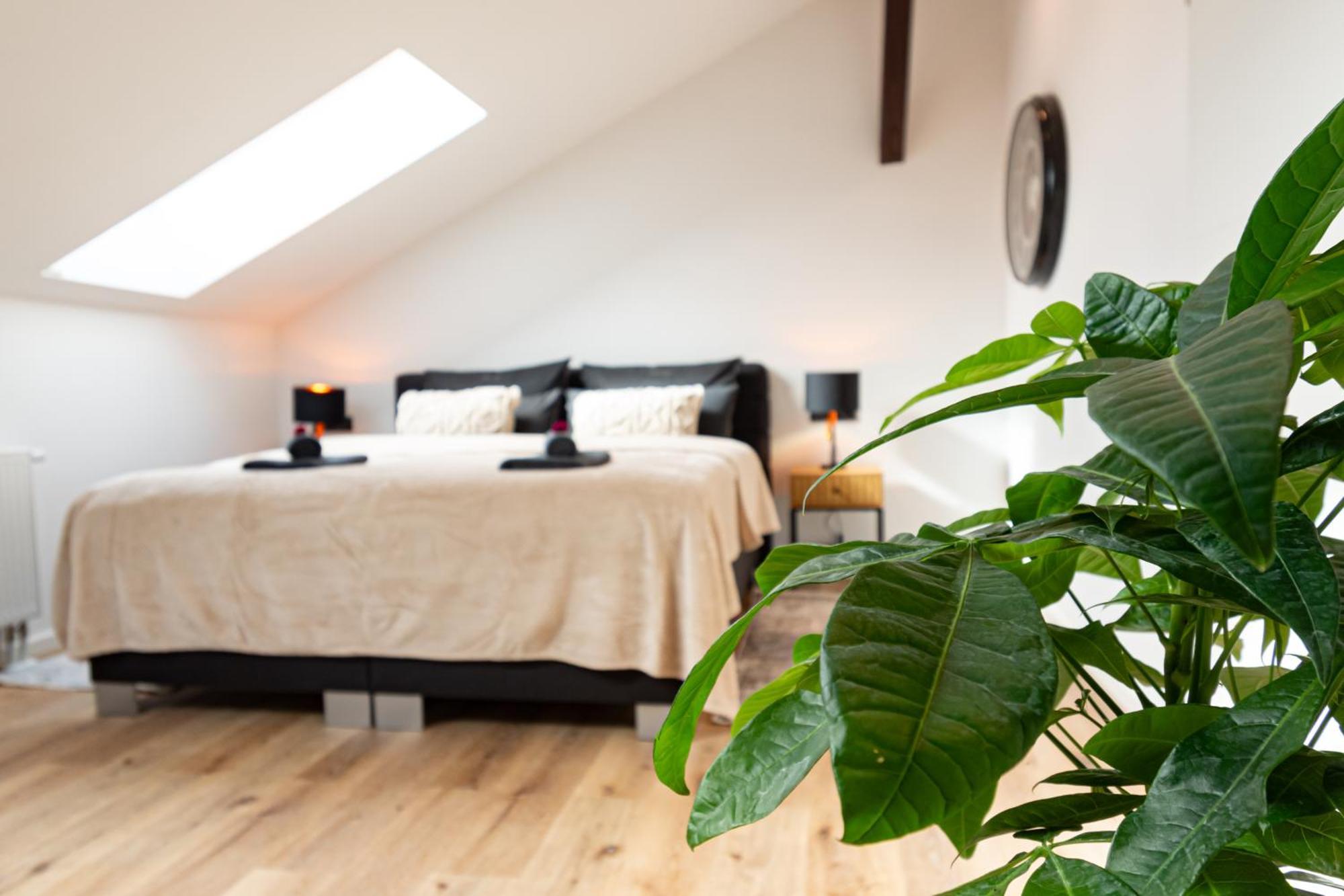 Sweethome - Zentral - Kueche & Parkplatz, Wifi Halle  Bagian luar foto